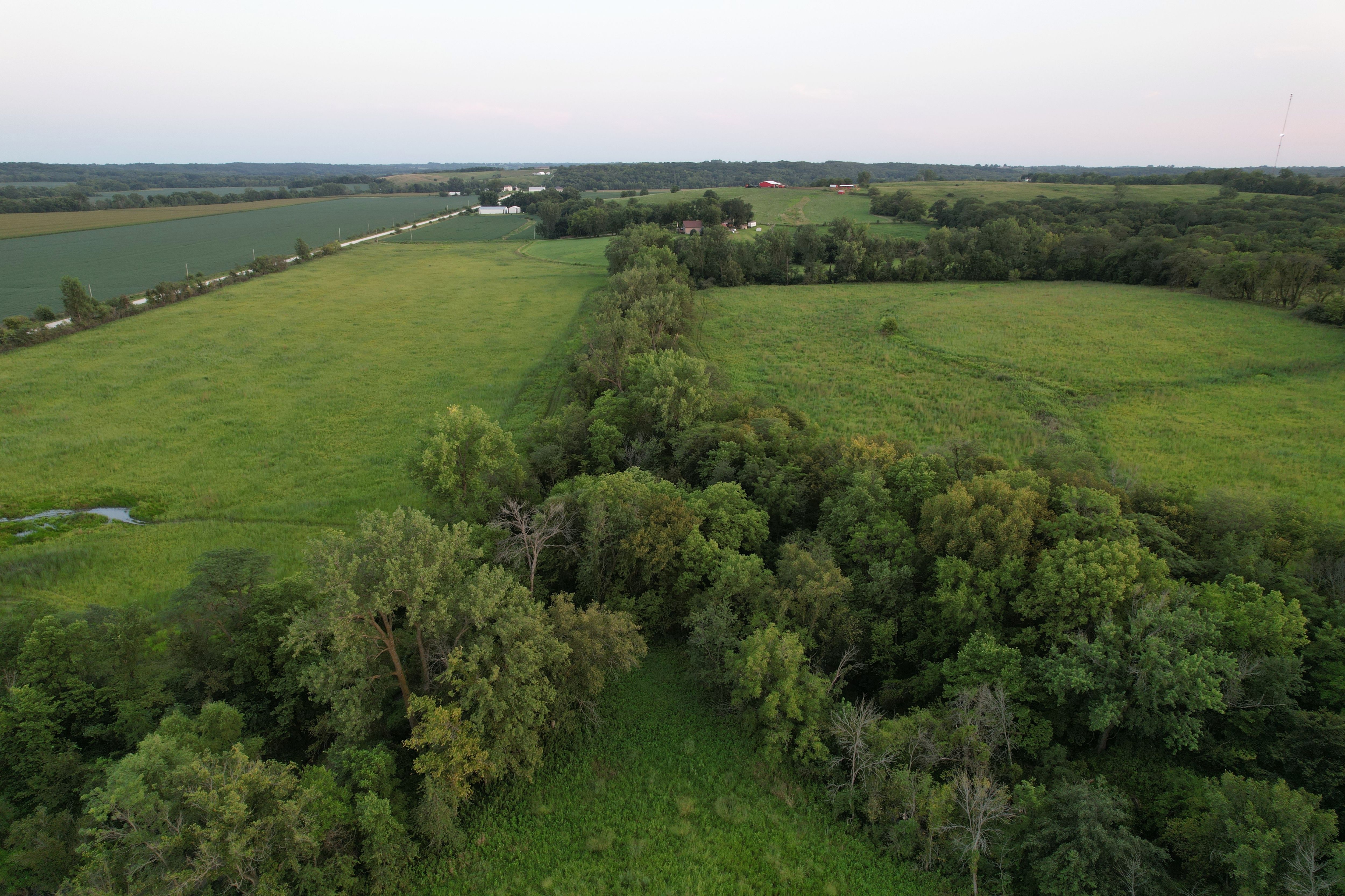 Listing Photo: Krumme Drone (43)